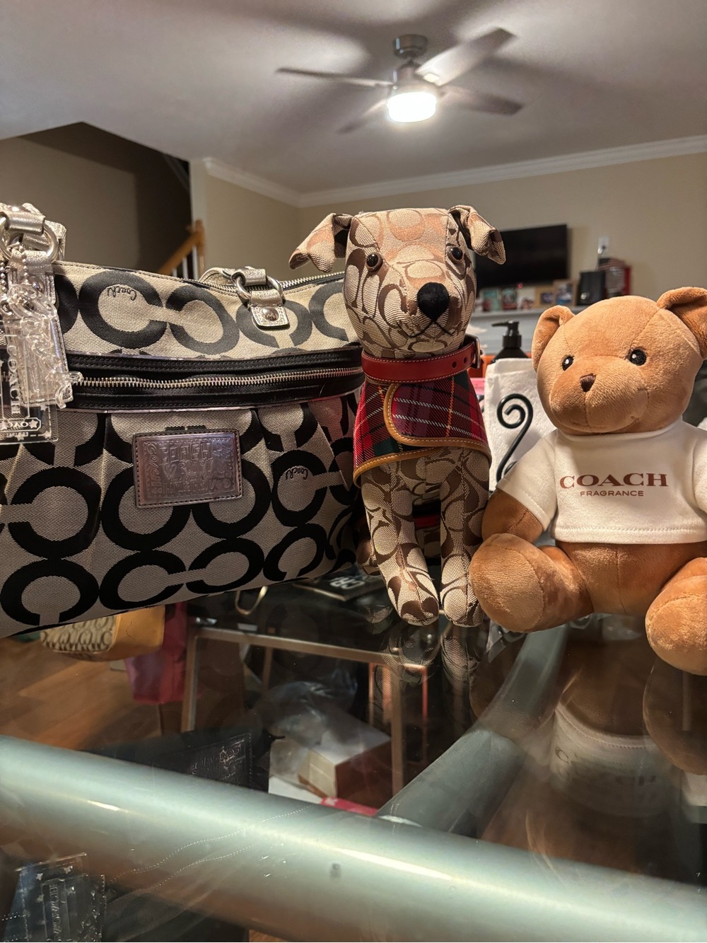 CATCH THE COACH AND SOLEIL EVENT!!! - Picture 12 of 16